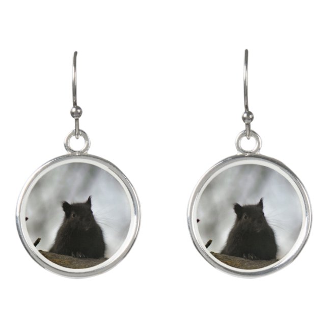 Shadow Earrings (Front)