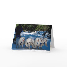 "Shadow Fan" Greeting Card