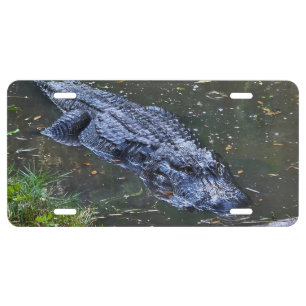 Shadow in the Shallows License Plate
