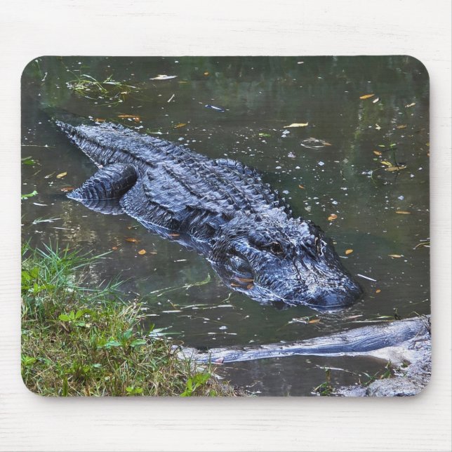 Shadow in the Shallows Mouse Pad (Front)