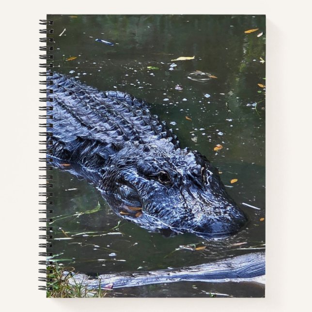 Shadow in the Shallows Notebook (Front)