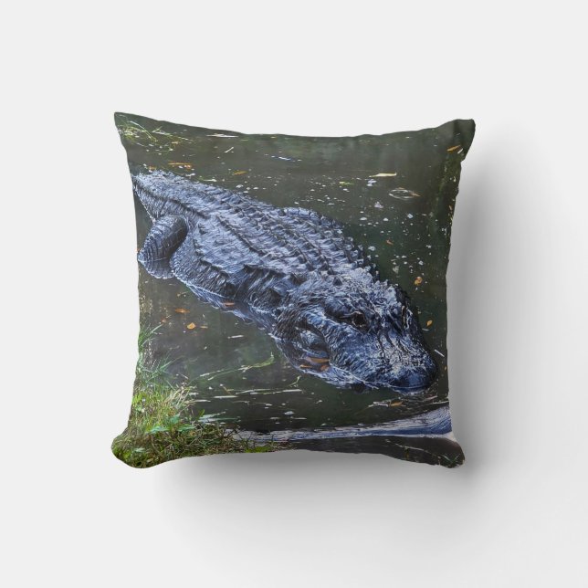 Shadow in the Shallows Throw Pillow (Front)