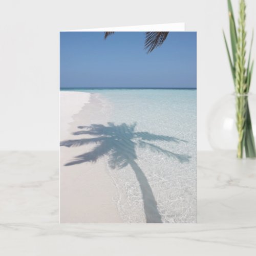 Shadow of a palm tree on a deserted island beach card
