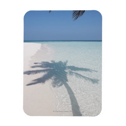 Shadow of a palm tree on a deserted island beach magnet