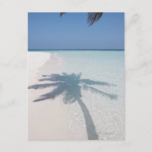 Shadow of a palm tree on a deserted island beach postcard
