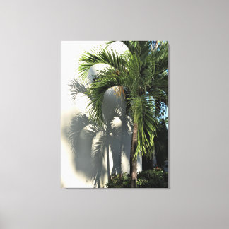 shadow of palm canvas print