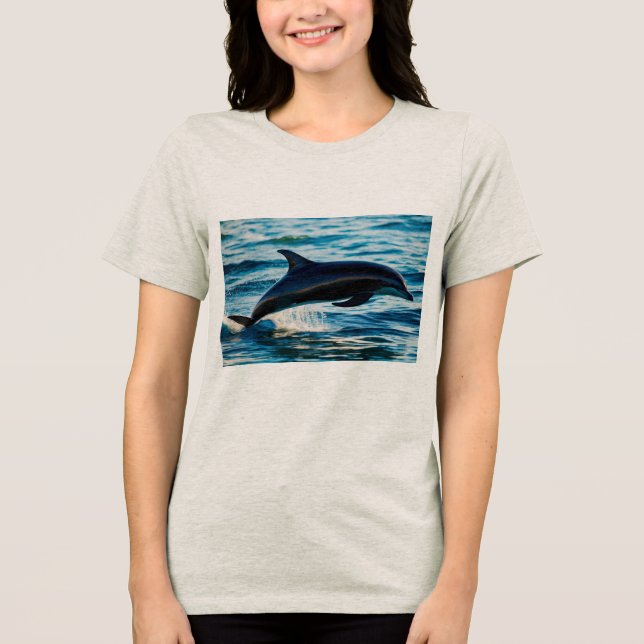 Shadow of the Sea: The Black Dolphin Tri-Blend Shirt (Front)