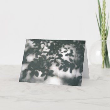 Shadow Patterns Card by judynd at Zazzle