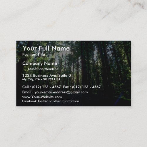 Shadowed grove from the Forest Business Card Template