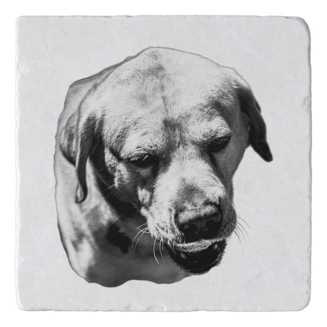 Shadowed Whiskers – Coaster (Front)