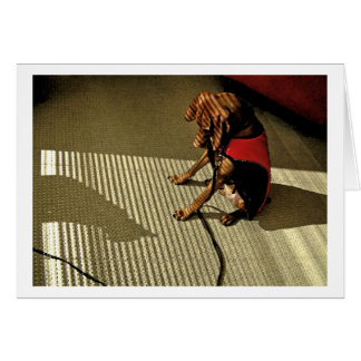 Shadowplay 1 cards