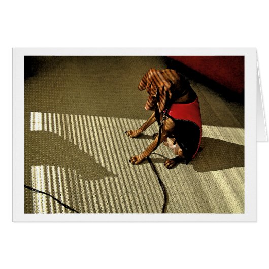 Shadowplay 1 cards (Front Horizontal)