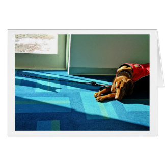 Shadowplay 2 cards
