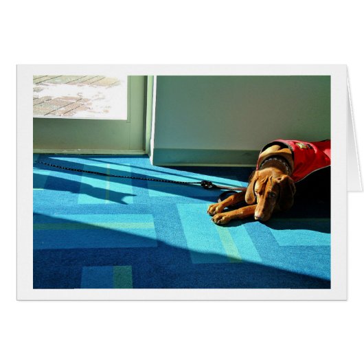 Shadowplay 2 cards (Front Horizontal)