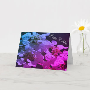 Shadows And Light Hydrangea Flower Birthday Card