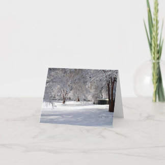 Shadows in the Snow. A Seasonal greeting Card