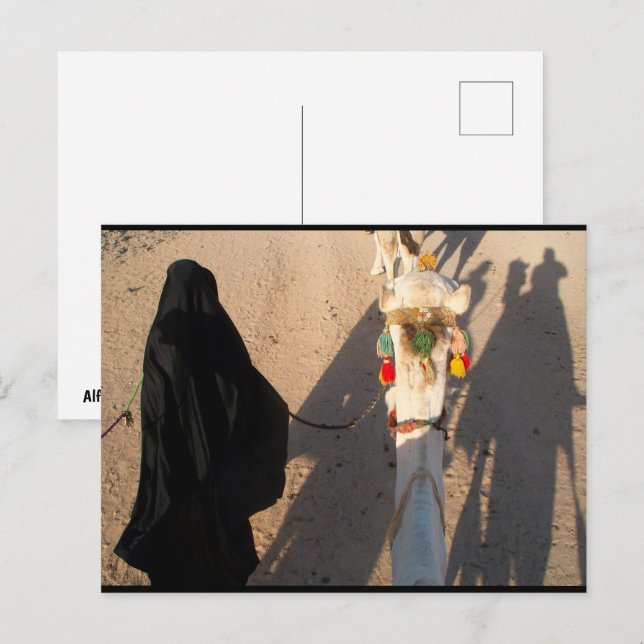 Shadows of the Desert Postcard (Front/Back)