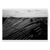 Shadows on the Dunes Cards (Front Horizontal)