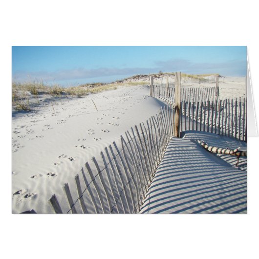 Shadows, Sand Dunes, and Fences Cards (Front Horizontal)