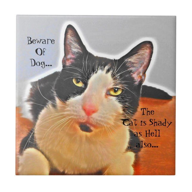 Shady Cat Ceramic Tile (Front)