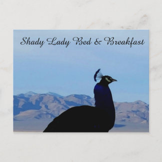 Shady Lady Bed & Breakfast Postcard