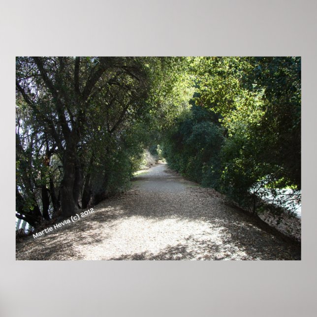 Shady Path Poster (Front)