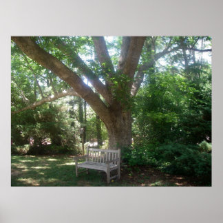 Shady Place to Relax Poster