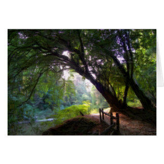 Shady Stream Card