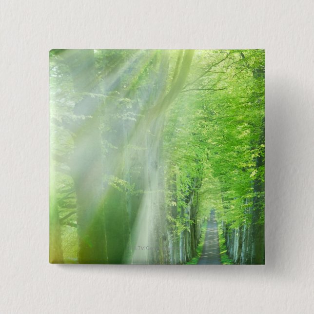 Shafts of Sunlight Button (Front)