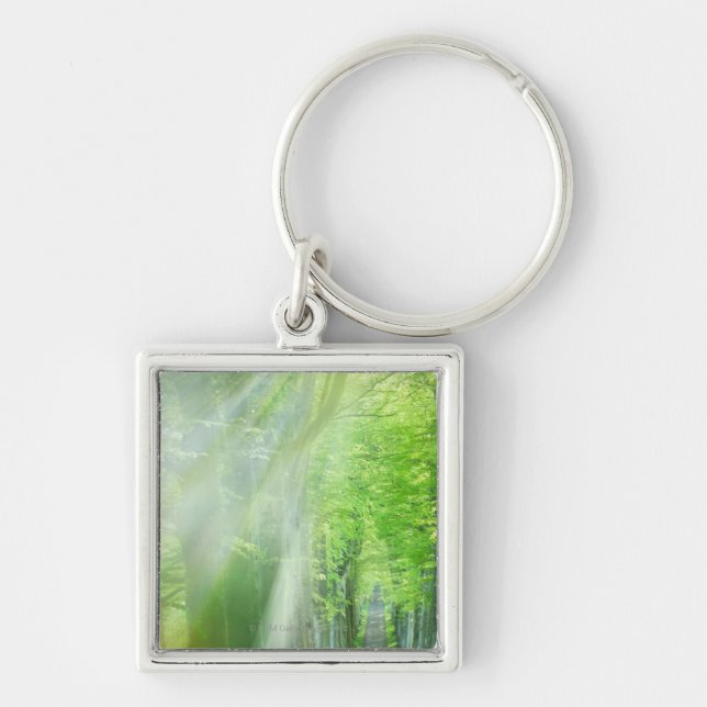 Shafts of Sunlight Keychain (Front)