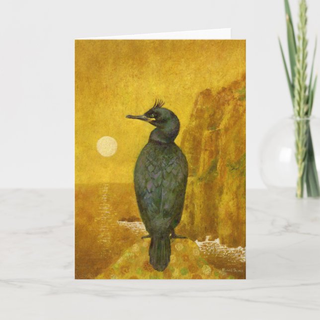 Shag Seabird On Gold Card (Front)