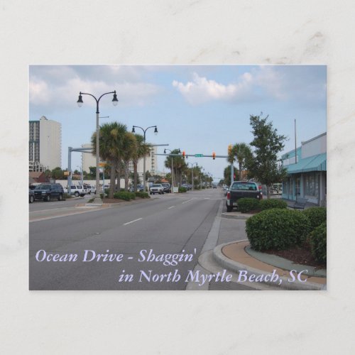 Shaggin on Ocean Drive Postcard
