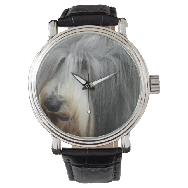 Shaggy Bearded Collie Watch (Front)