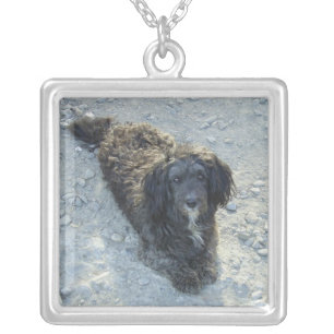 Shaggy black dog necklace