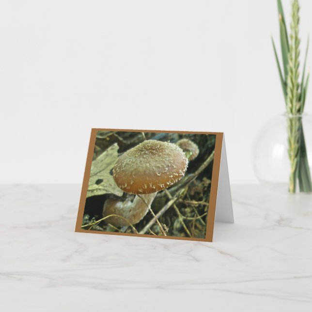Shaggy Cap Mushroom Note Card (Front)