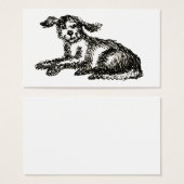 Shaggy dog (Front & Back)