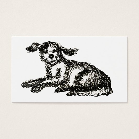 Shaggy dog (Front)