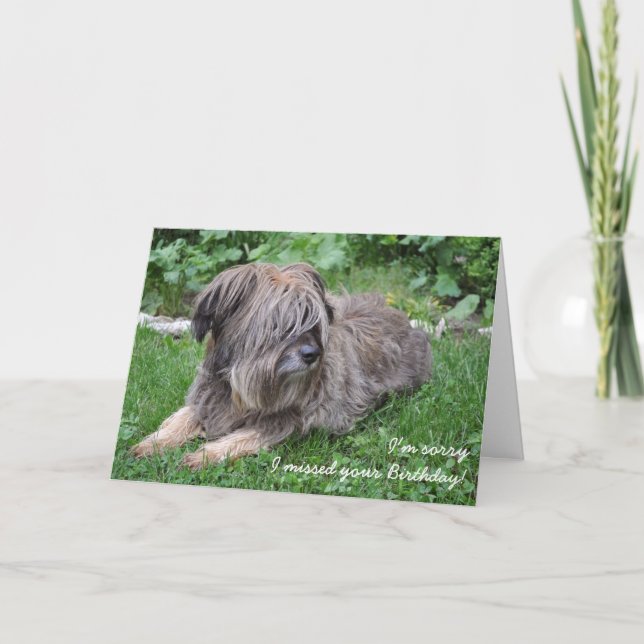 Shaggy dog belated birthday card (Front)