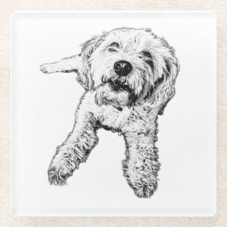 Shaggy Dog Lying Down Black And White Coaster