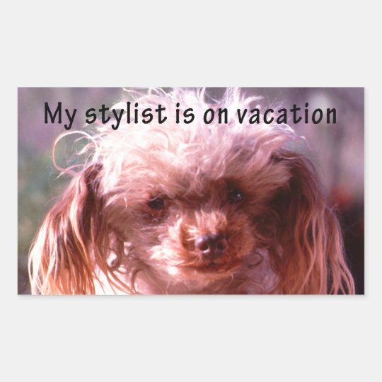 Shaggy Hair Dog Rectangular Sticker