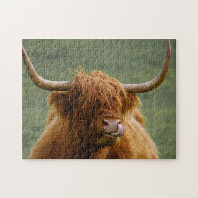 Shaggy Haired Scottish Highland Cow Nature Animal Jigsaw Puzzle (Horizontal)