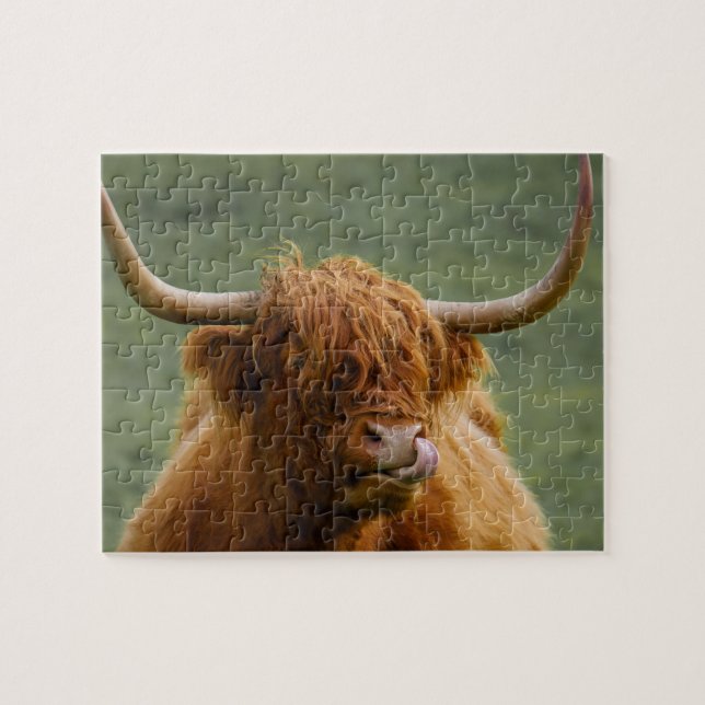 Shaggy Haired Scottish Highland Cow Nature Animal Jigsaw Puzzle (Horizontal)