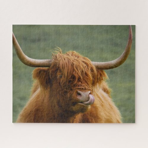 Shaggy Haired Scottish Highland Cow Nature Animal Jigsaw Puzzle