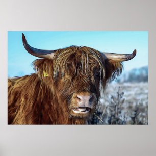 Shaggy Highland Beef Cow Oil Painting Poster