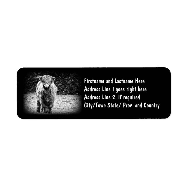 Shaggy Highland Cow Photo (Black & White) Label (Front)