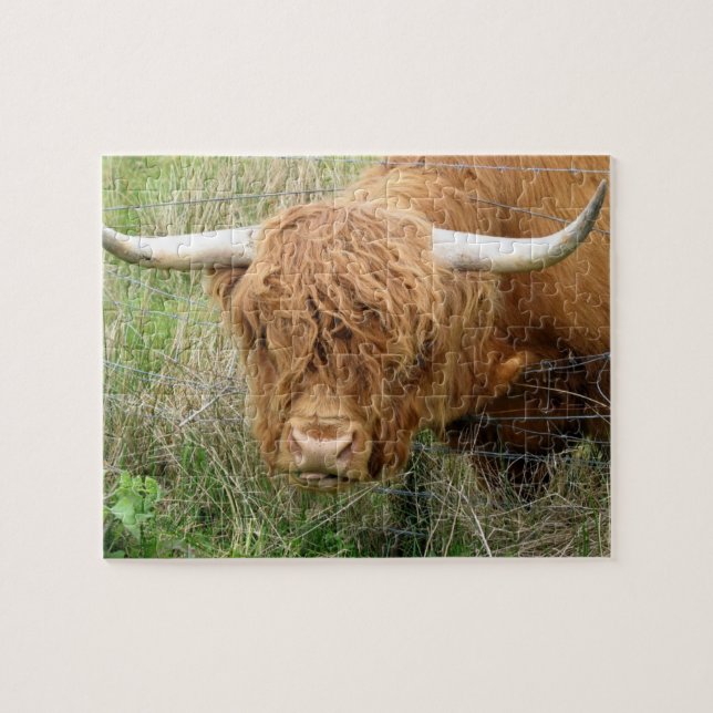 Shaggy Highland Cow Puzzle (Horizontal)