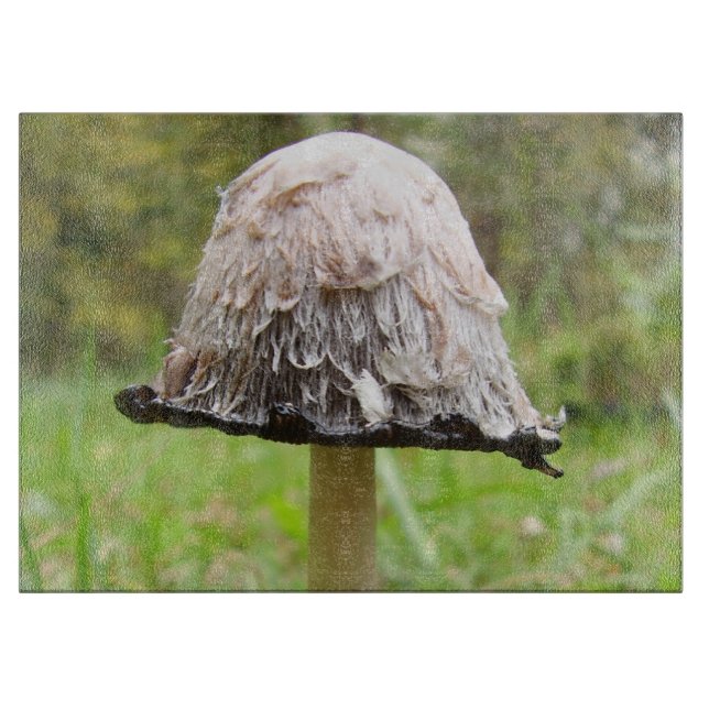 Shaggy Ink Cap Mushroom Glass Chopping Board (Front)