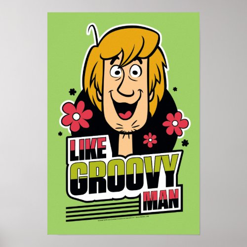 Shaggy Like Groovy Man Graphic Poster