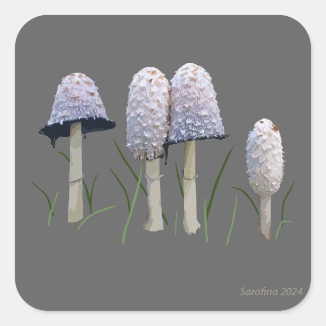 Shaggy Mane Coprinus comatus Square Sticker (Front)