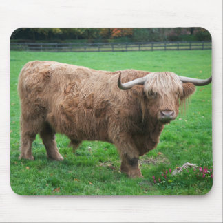 Shaggy Mousemat Mouse Pad